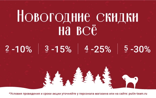"Новогодняя акция" в Putin Team Russia: скидки до 30% "Новогодняя акция" в Putin Team Russia: скидки до 30%